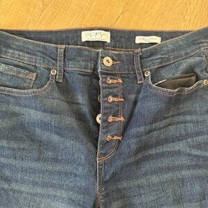 NWOT SOFIA VERGARA MELISA JEANS FLARE JEANS BUTTON FLY STRETCH SIZE 10 L